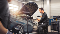 es ist ein schönes Bild zu sehen | © Max Mustermann